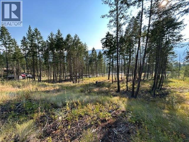 Lot-12 Csokony Road, Spur Valley, BC, V0A 1E0