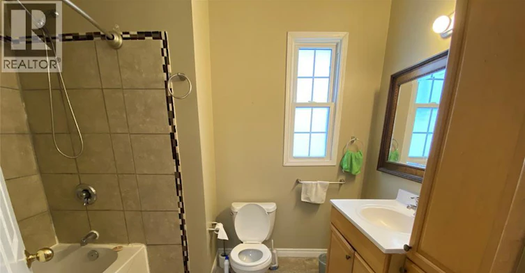 366 Bridge, Windsor, ON, N9B 2M4 - 9