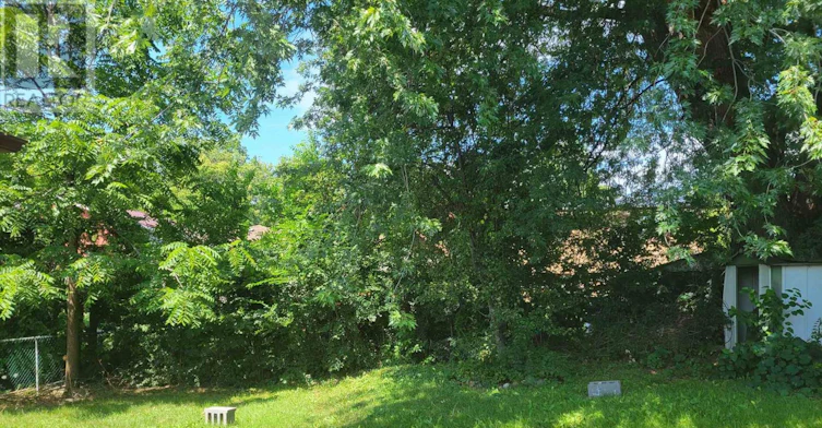 68 Broadoaks(main Floor Only Drive, Toronto, ON, M3J 1E4 - 16