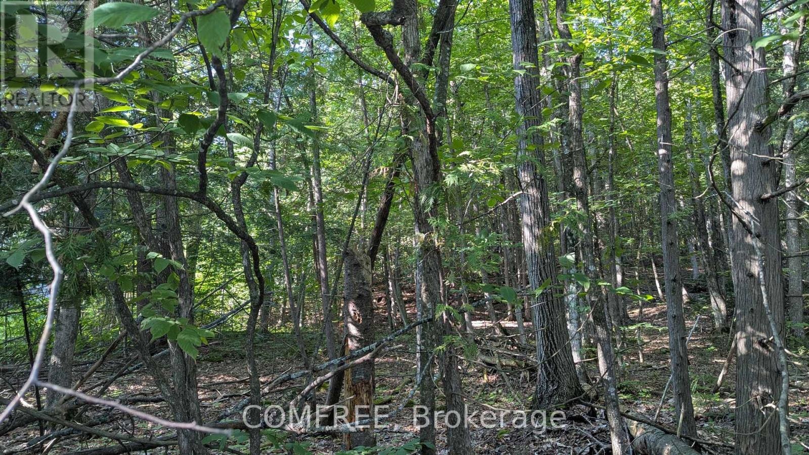 4853 Opeongo Road, Ottawa, ON, K0A 3M0