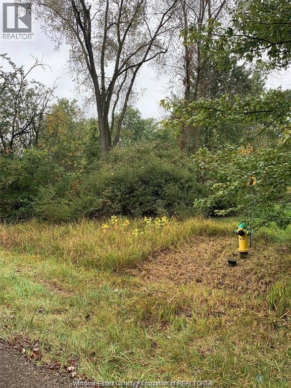 V/L Brush Side Road, Essex, ON, N8M 2X6