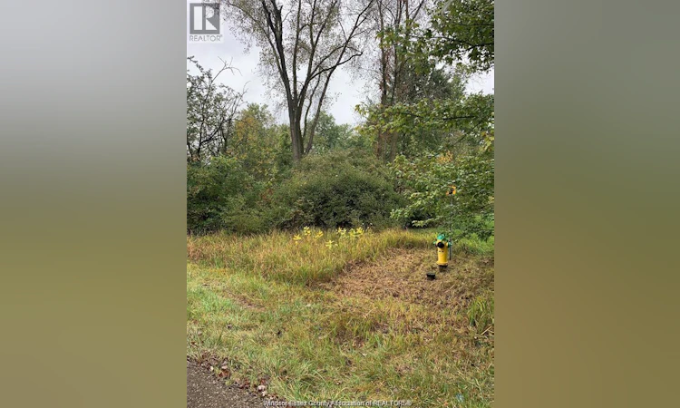 V/L Brush Side Road