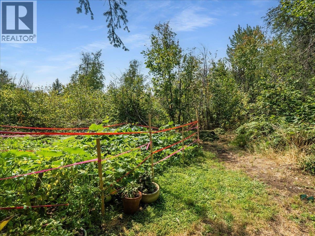 3617 14th Avenue, Castlegar, BC, V1N 4J2 - 75