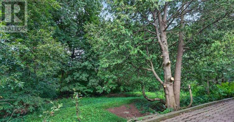 11 Faircroft Boulevard, Toronto, ON, M1N 2W9 - 41