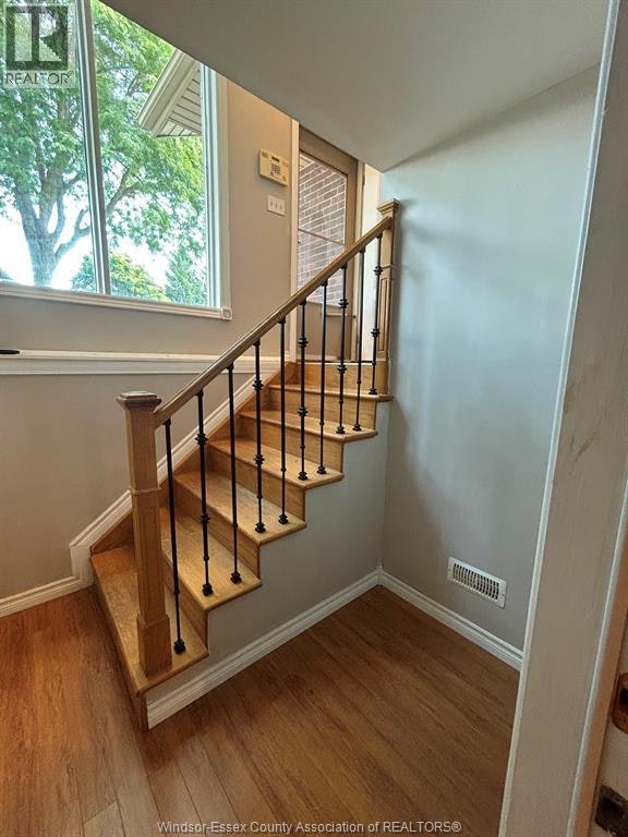 3159 Turner, Windsor, ON, N8W 3L9 - 17