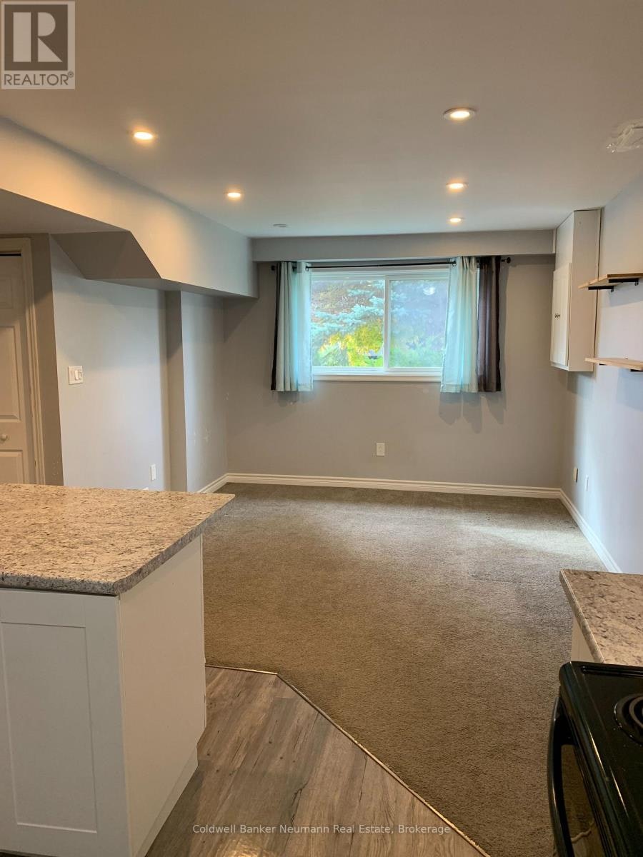 LOWER-10 Watt Street, Guelph, ON, N1E 6W9 - 4