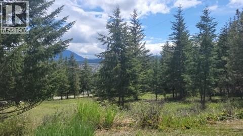 343 S Cross Road, Cranbrook, BC, V1C 6W6