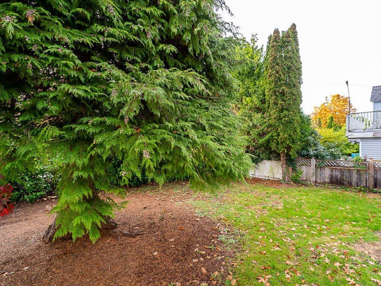 11205 78a Avenue, Delta, BC, V4C 1P4 - 13