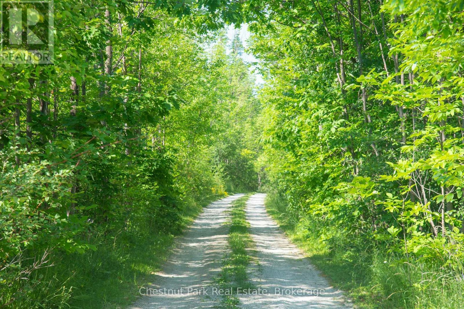 137-39TH Side Road, Blue Mountains, ON, N0H 2P0 - 2
