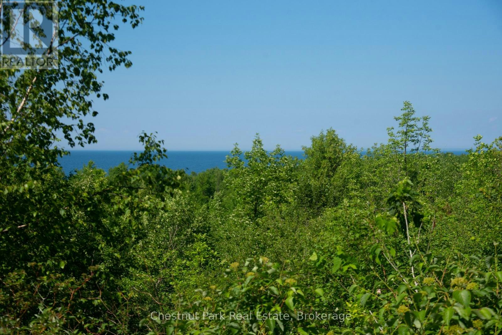 137-39TH Side Road, Blue Mountains, ON, N0H 2P0 - 22