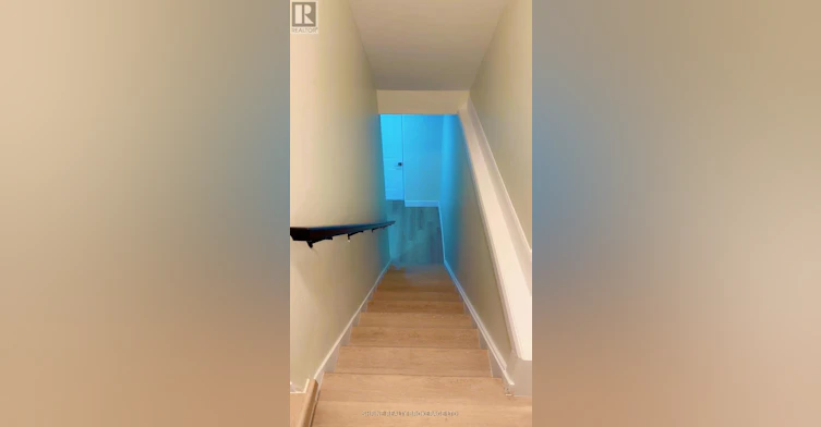 BASEMENT-3843 Petalpath Way, London, ON, N6P 0K2 - 2