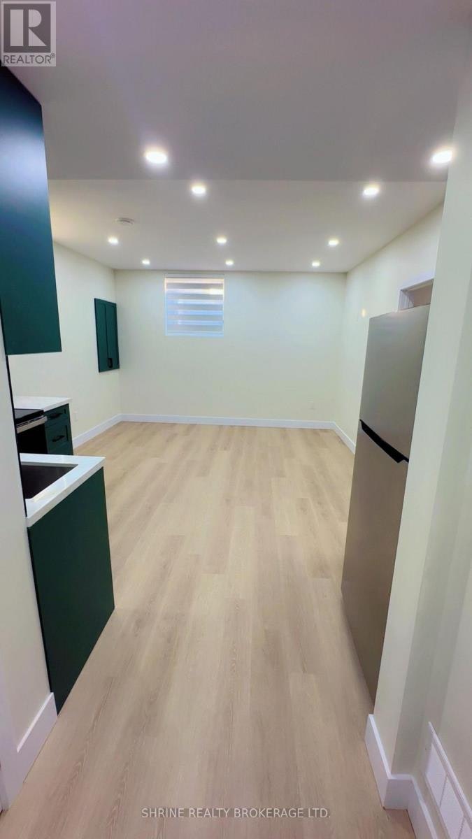 BASEMENT-3843 Petalpath Way, London, ON, N6P 0K2 - 6