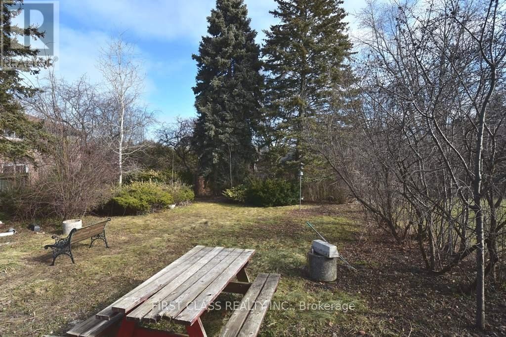 BACK-319 Senlac Road, Toronto, ON, M2R 1R2 - 3