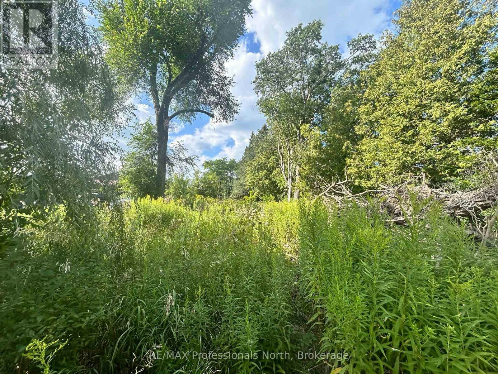 4437 7 Highway, Kawartha Lakes, ON, K0L 2W0