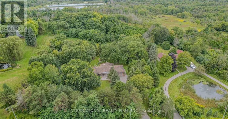 20012 2nd Concession Road, East Gwillimbury, ON, L9N 0H5 - 25