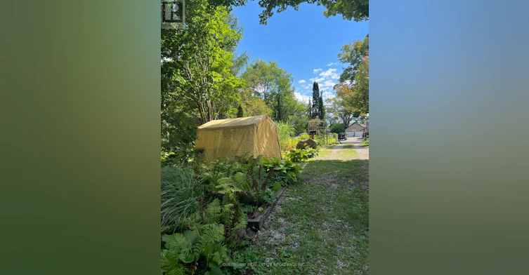 10 Mill Street W, Springwater, ON, L0L 1V0 - 10