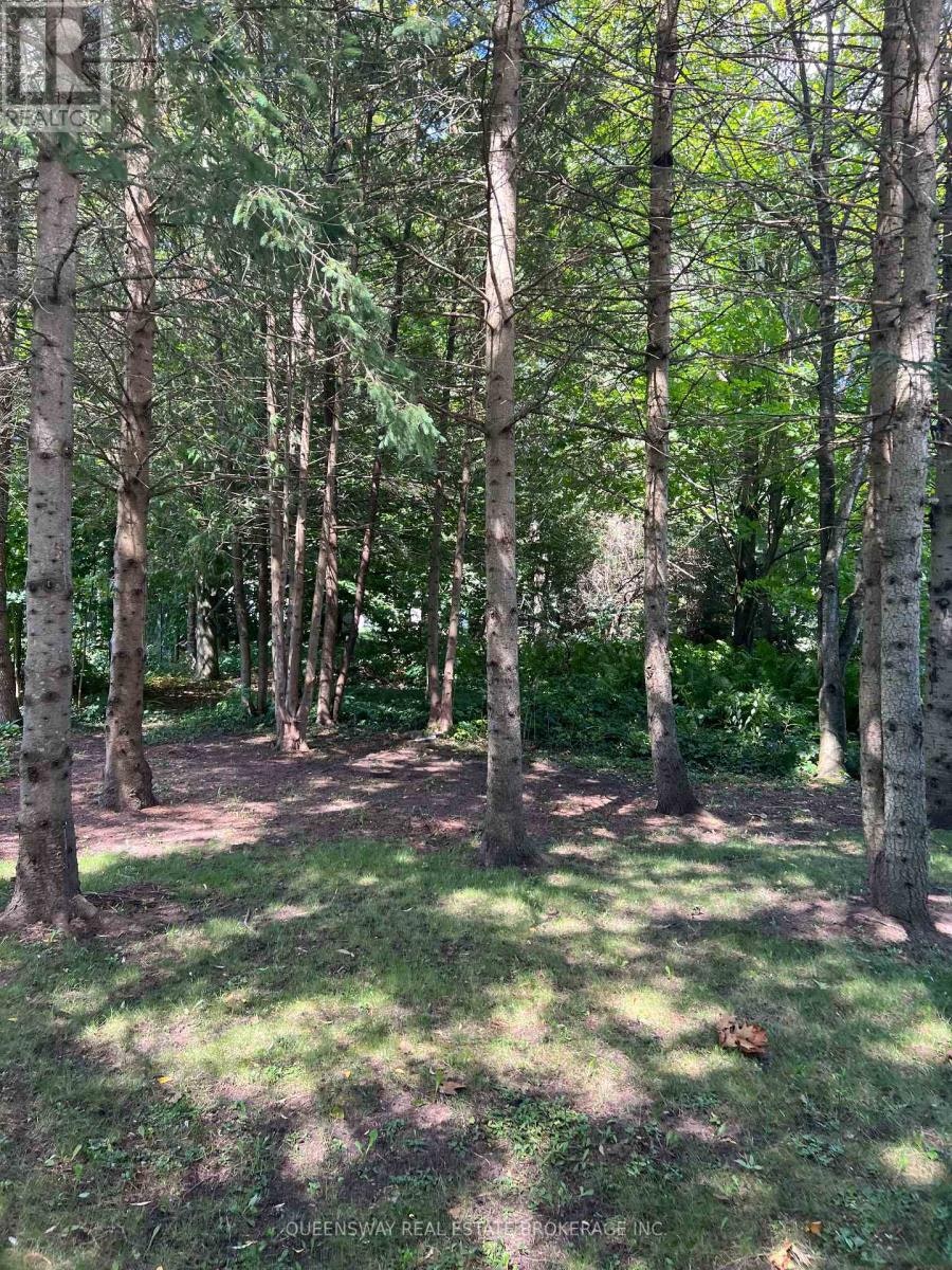 10 Mill Street W, Springwater, ON, L0L 1V0 - 7