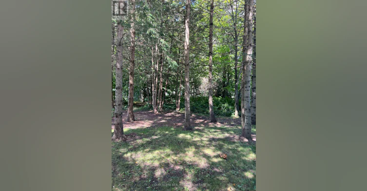 10 Mill Street W, Springwater, ON, L0L 1V0 - 7