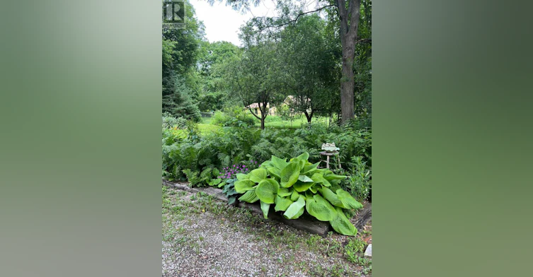 10 Mill Street W, Springwater, ON, L0L 1V0 - 11