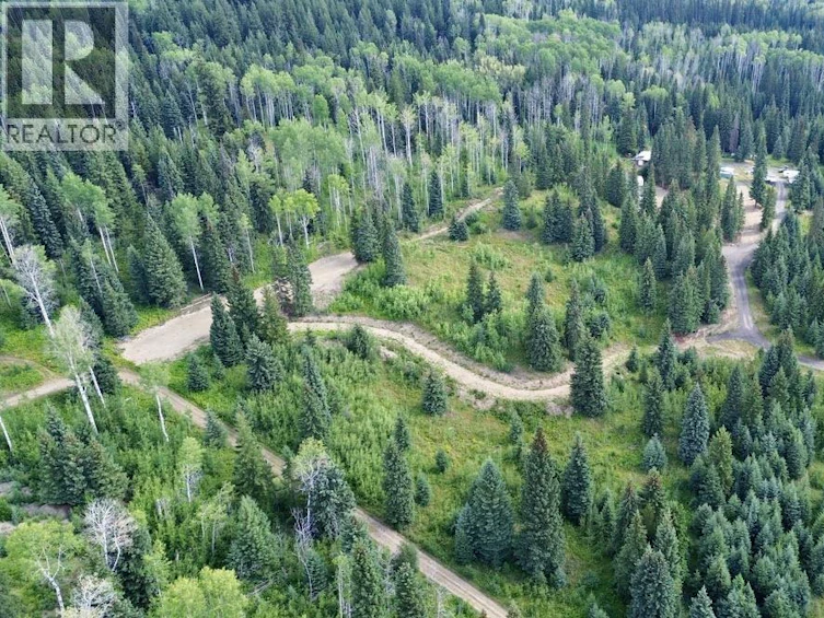 8541 Little Fort 24 Highway, Bridge Lake, BC, V0K 1X3 - 27