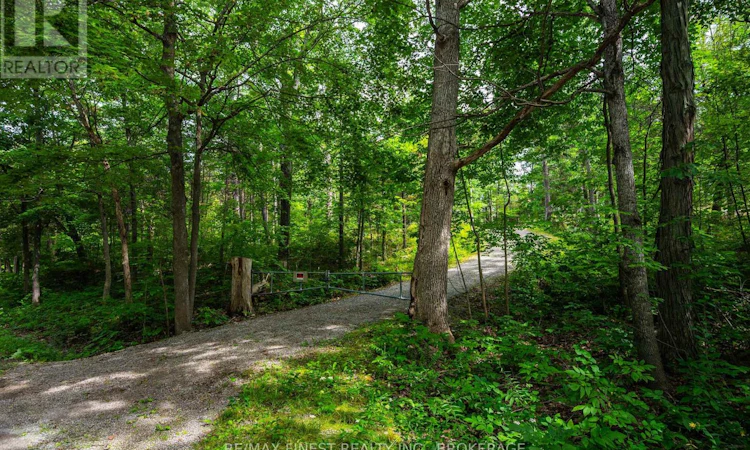 169 Old River Road
