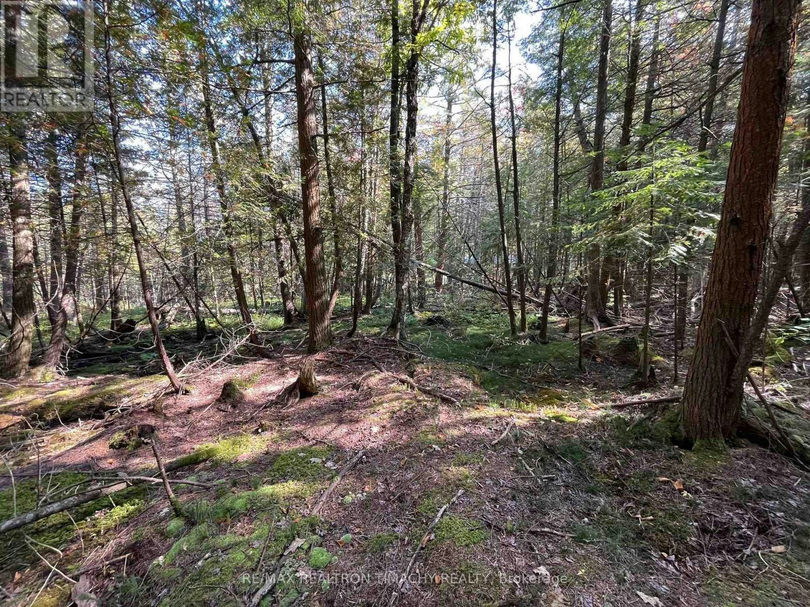 LOT-25 Champlain Road, Penetanguishene, ON, L9M 0C3