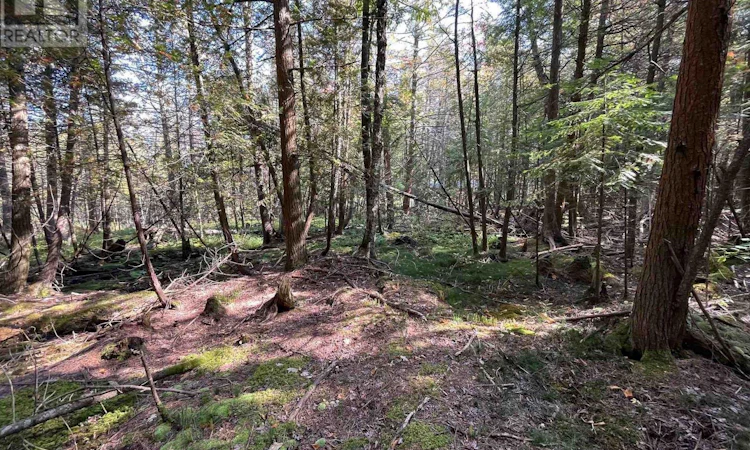LOT-25 Champlain Road