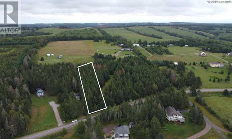 Lot Trout River Road