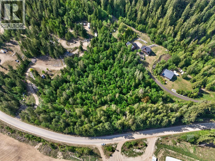 Lot-6 Cambie Solsqua Road, Sicamous, BC, V0E 2V5 - 3