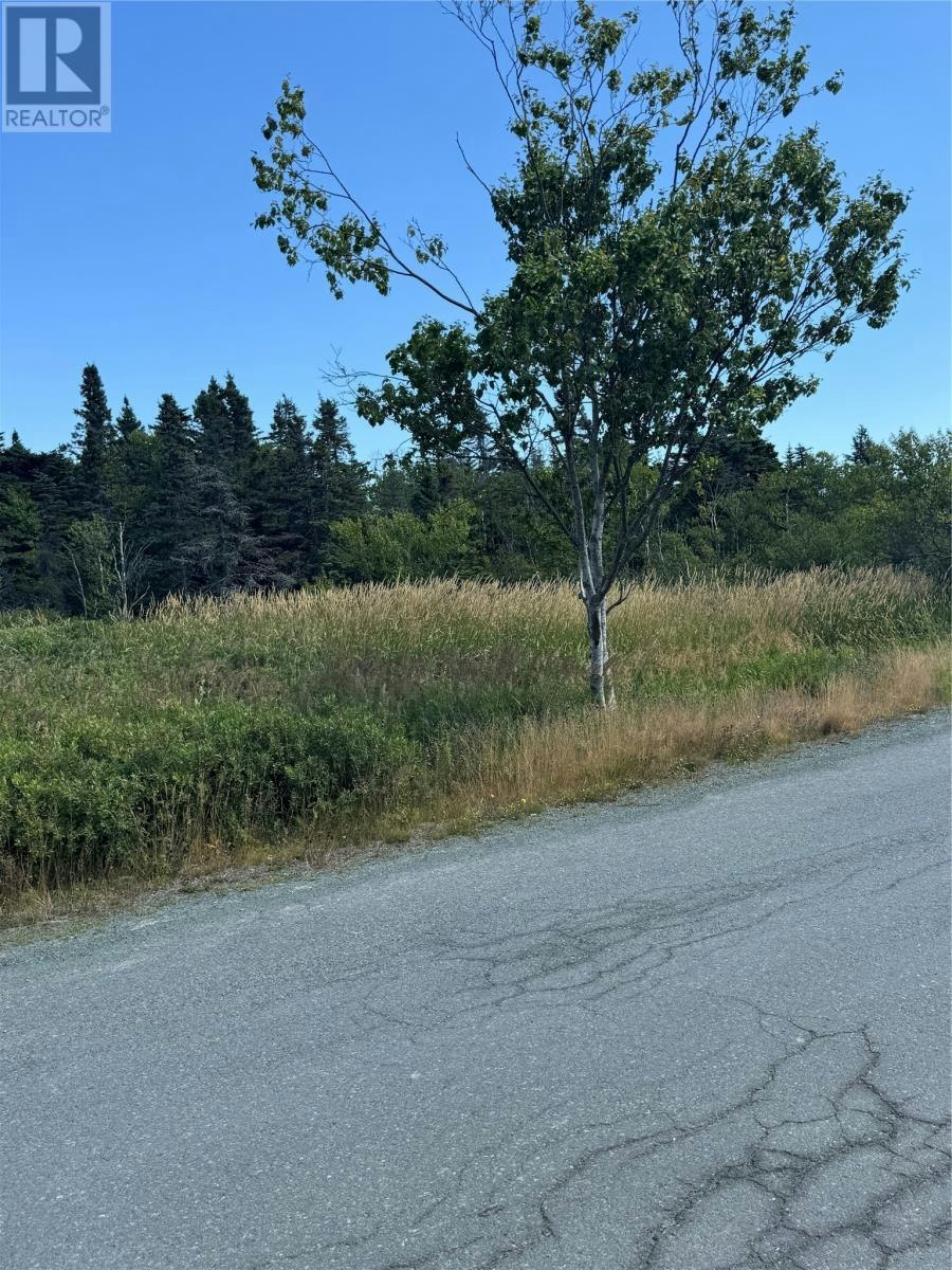 20-34 Crowes Lane, Torbay, NL, A1K 1H5