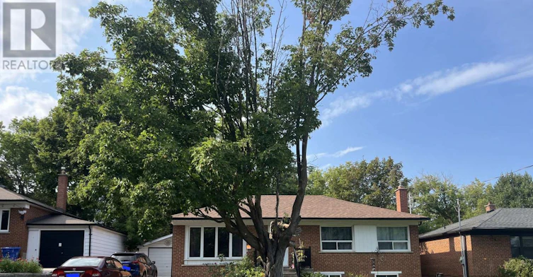 LOWER-52 Monkswood Crescent, Newmarket, ON, L3Y 2K1 - 5