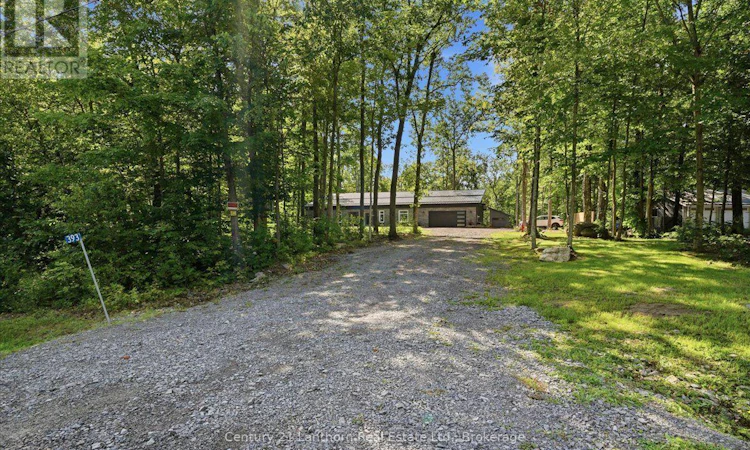 393 Wood Road