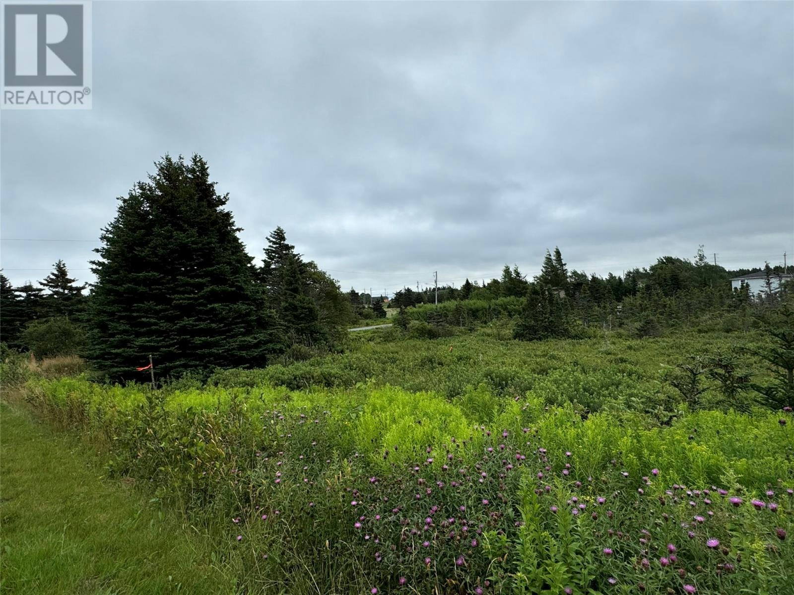 17A Crowes Lane, Torbay, NL, A1K 1H5