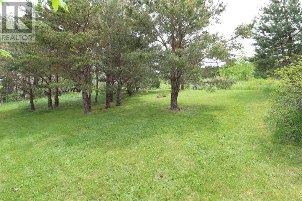 454 Seaforest Drive, Cupids, NL, A0A 2B0 - 25