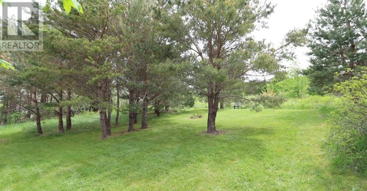 454 Seaforest Drive, Cupids, NL, A0A 2B0 - 25