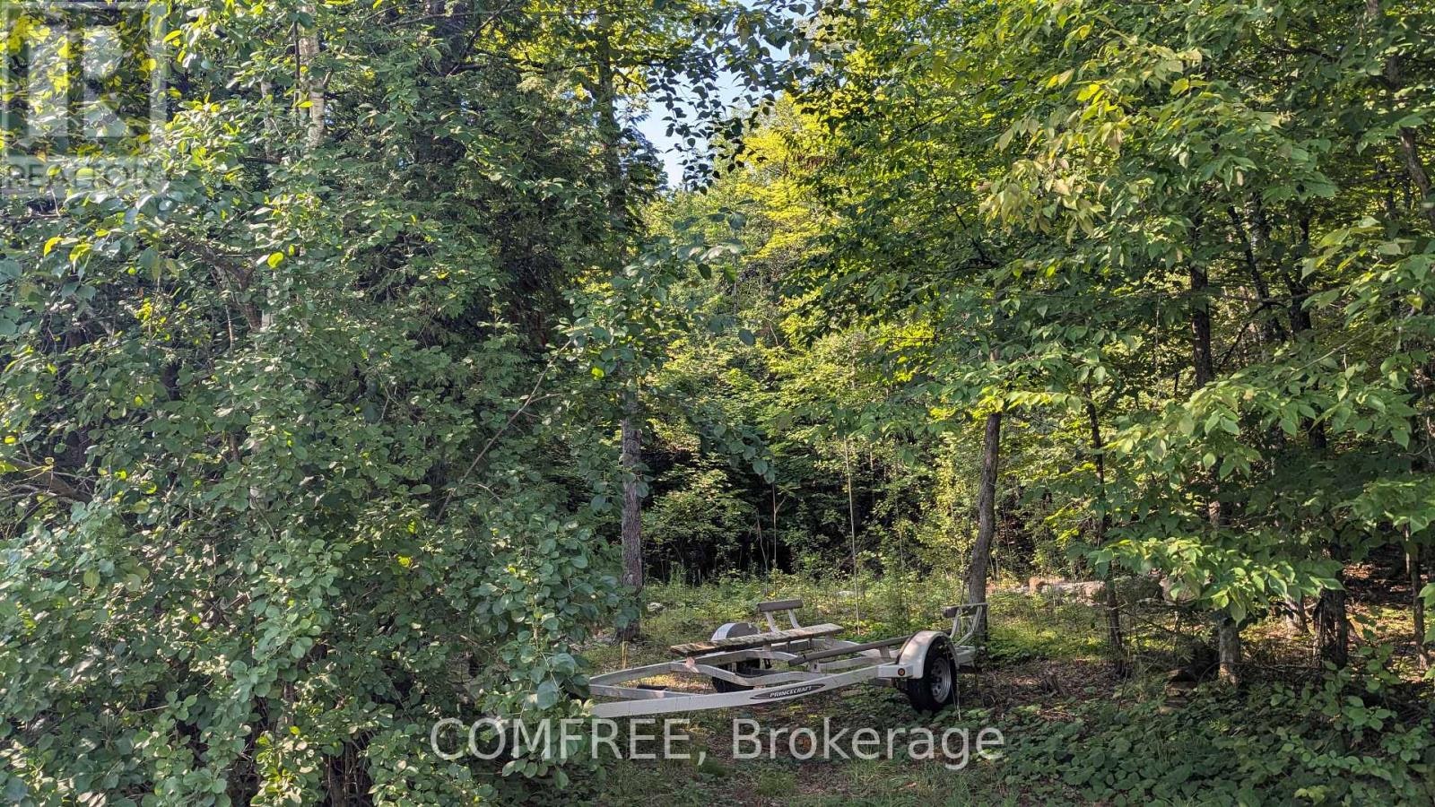 4859 Opeongo Road, Ottawa, ON, K0A 3M0