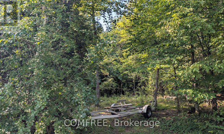 4859 Opeongo Road