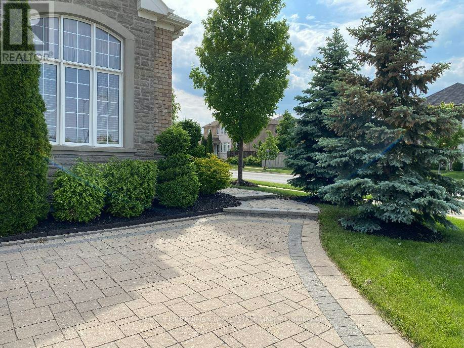 BASEMENT-5484 Freshwater Drive, Mississauga, ON, L5M 0K7 - 9