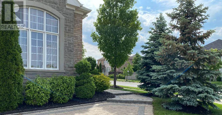 BASEMENT-5484 Freshwater Drive, Mississauga, ON, L5M 0K7 - 9