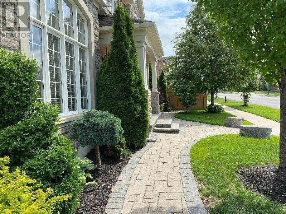 BASEMENT-5484 Freshwater Drive, Mississauga, ON, L5M 0K7 - 3