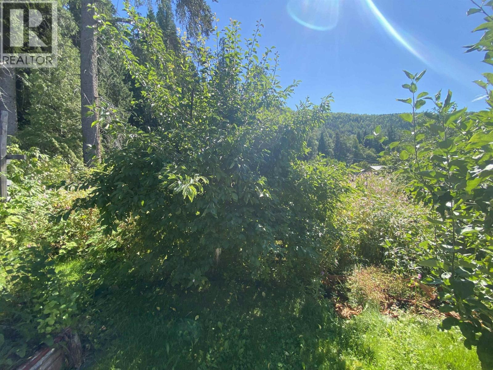 4451 Scotton Avenue, Terrace, BC, V8G 3Y7 - 25