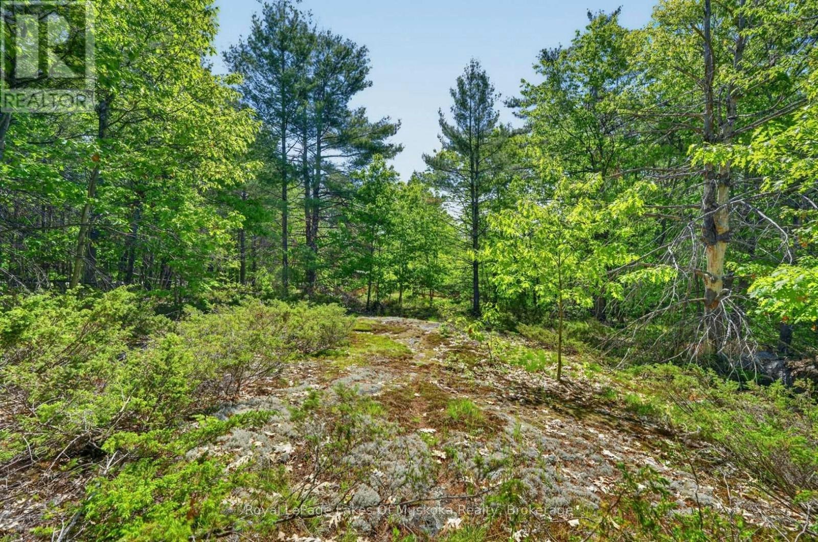 1018 Sniders Bay Road, Gravenhurst, ON, P1P 1R2 - 37