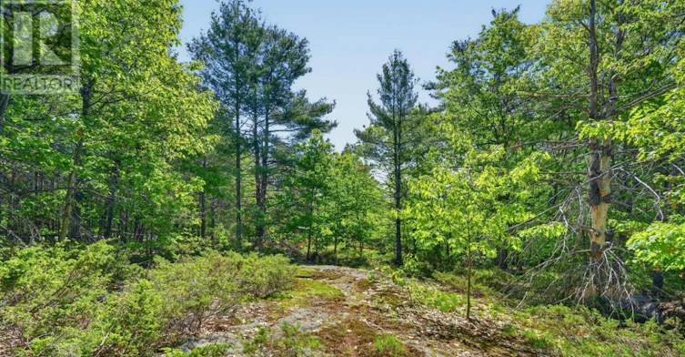 1018 Sniders Bay Road, Gravenhurst, ON, P1P 1R2 - 37