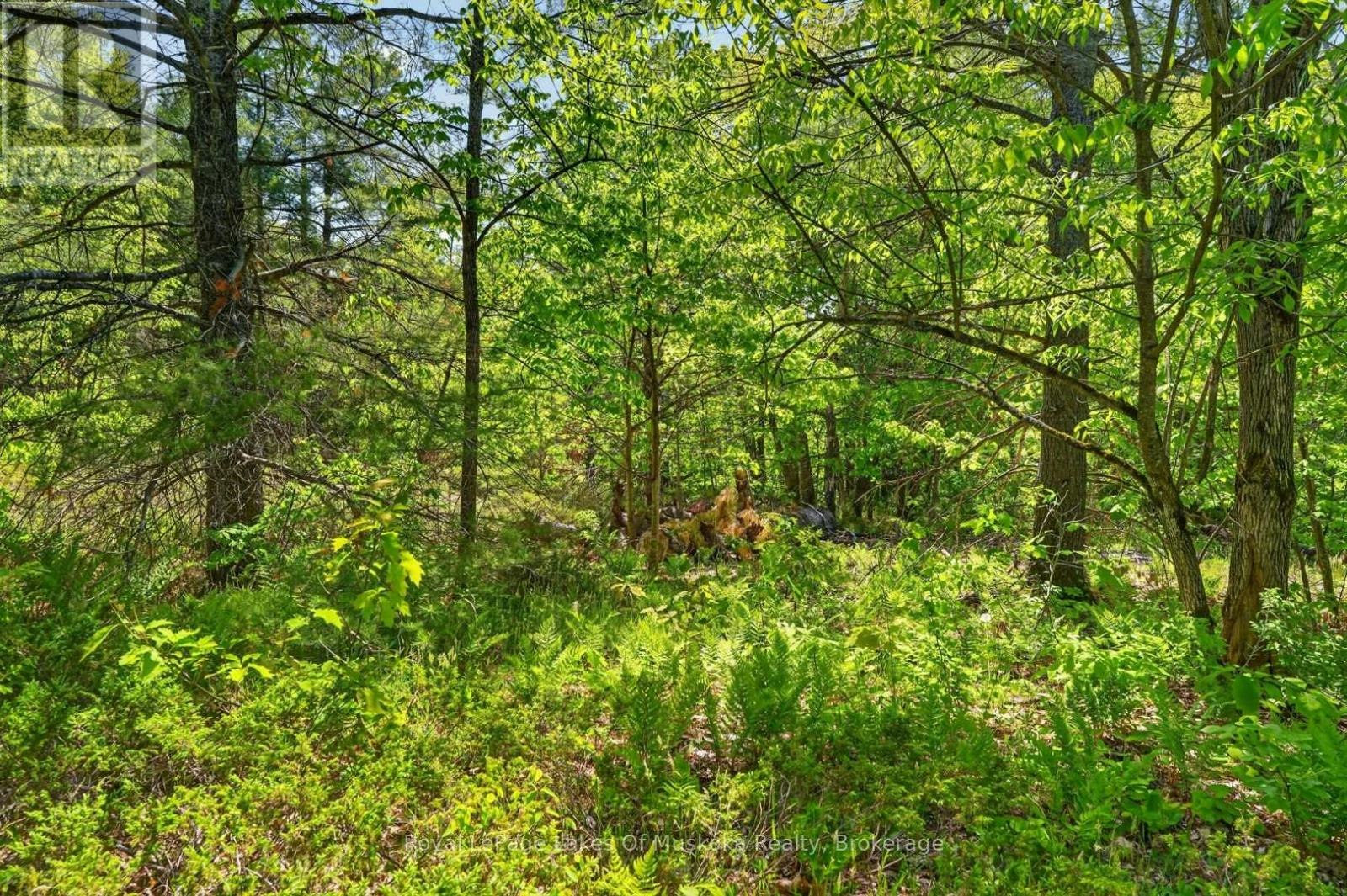 1018 Sniders Bay Road, Gravenhurst, ON, P1P 1R2 - 36