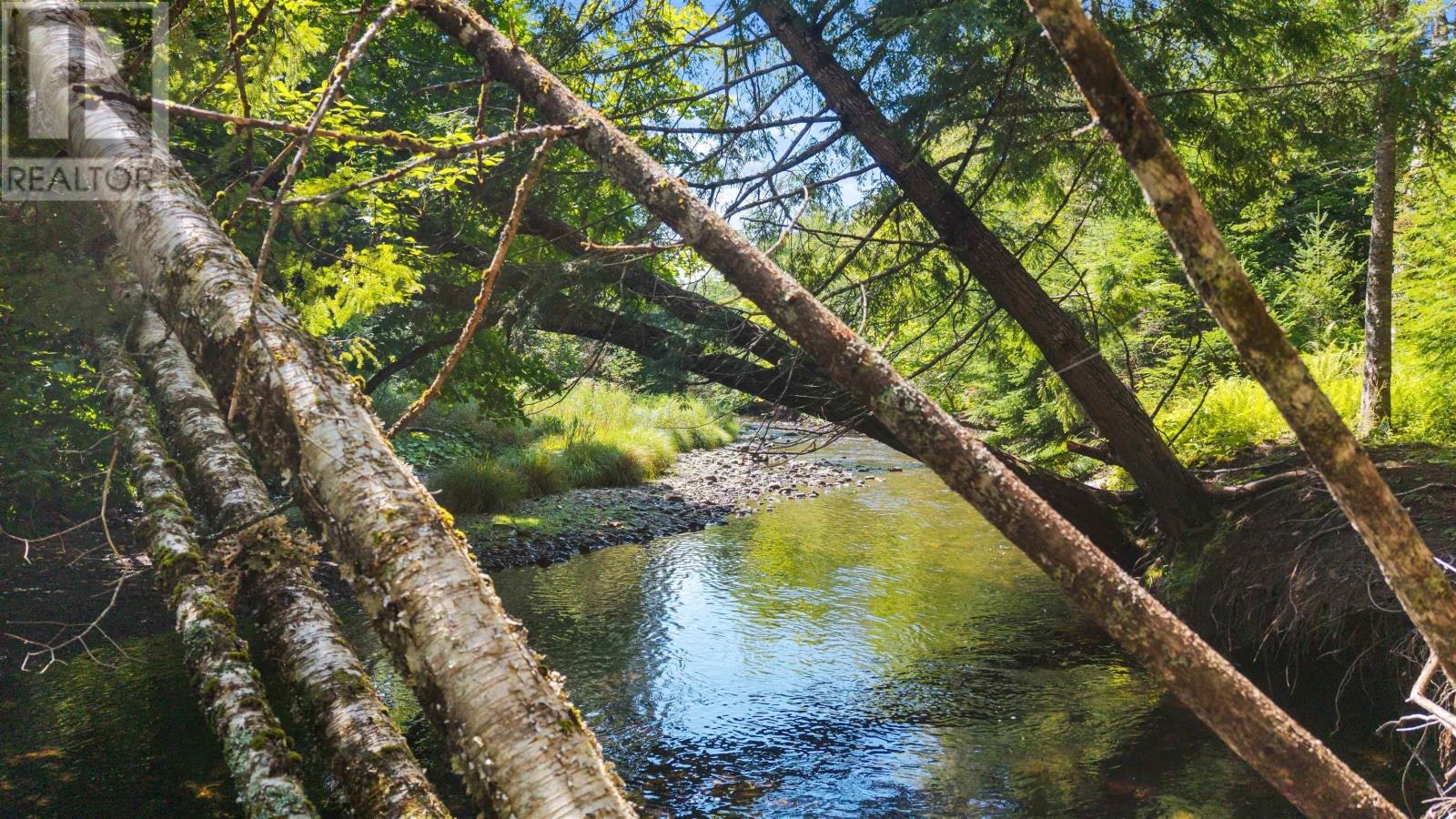 Lot DA23-2 311 Highway Highway, Waughs River, NS, B0K 1V0