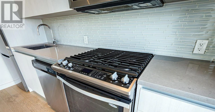 1610-111 Bathurst Street, Toronto, ON, M5V 0M9 - 14
