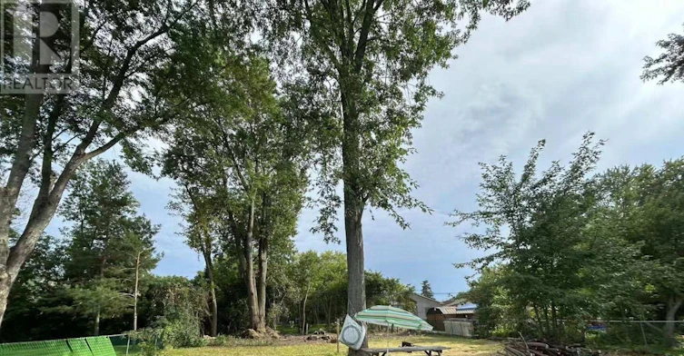 377 Walter Drive, Georgina, ON, L4P 3A8 - 24