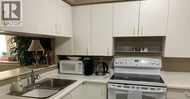 1701-75 Riverside Drive, Windsor, ON, N9A 7C2 - 18
