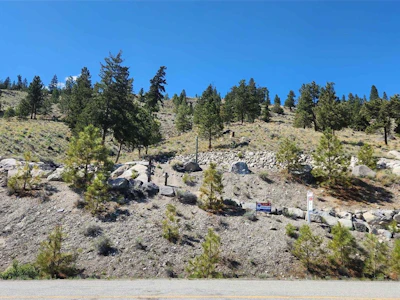 6461 Monck Park Road - 4