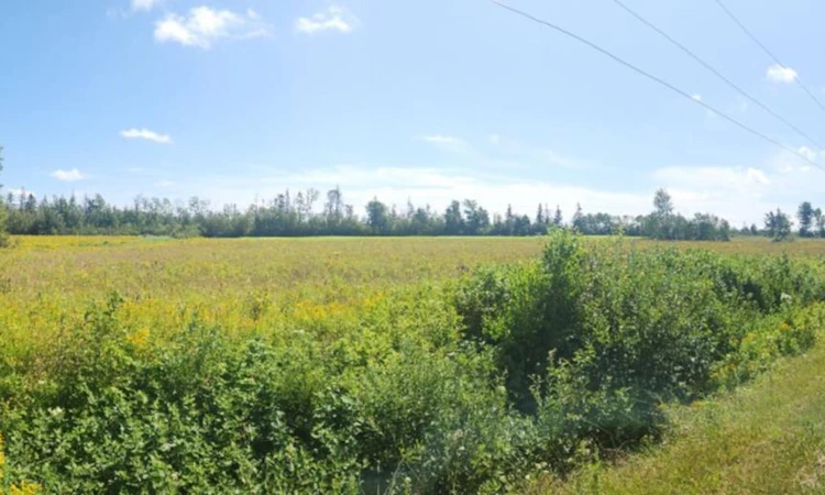 Acreage Lorne Valley Road
